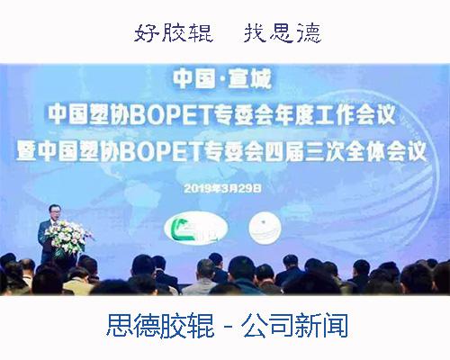 思德膠輥參加2019宣城塑協(xié)會(huì)議