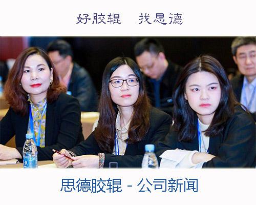 思德膠輥歷年參加行業(yè)會議及展會概要